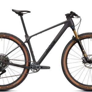 Radon JEALOUS 9.0