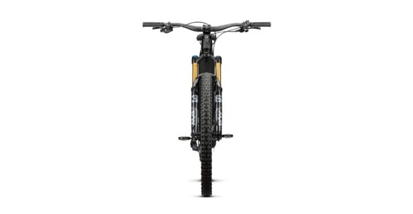 Radon RENDER 10.0 HD 750