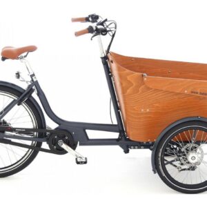 Babboe Carve Mountain - 400 Wh - 26 Zoll - Dreirad
