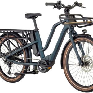 Bergamont E-Cargoville LT Edition - 545 Wh - 26 Zoll - Longtail